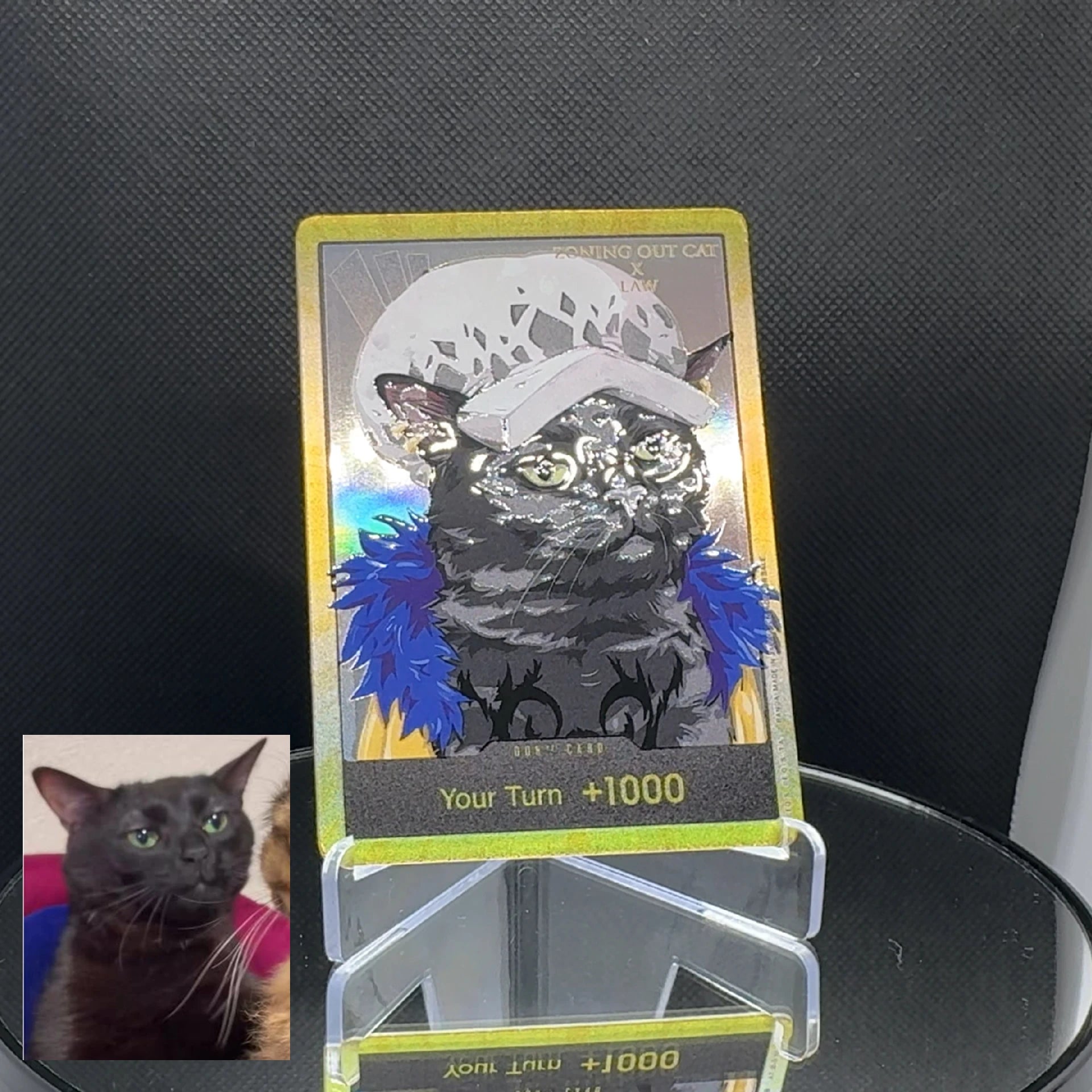 DON!! cat meme (EN)