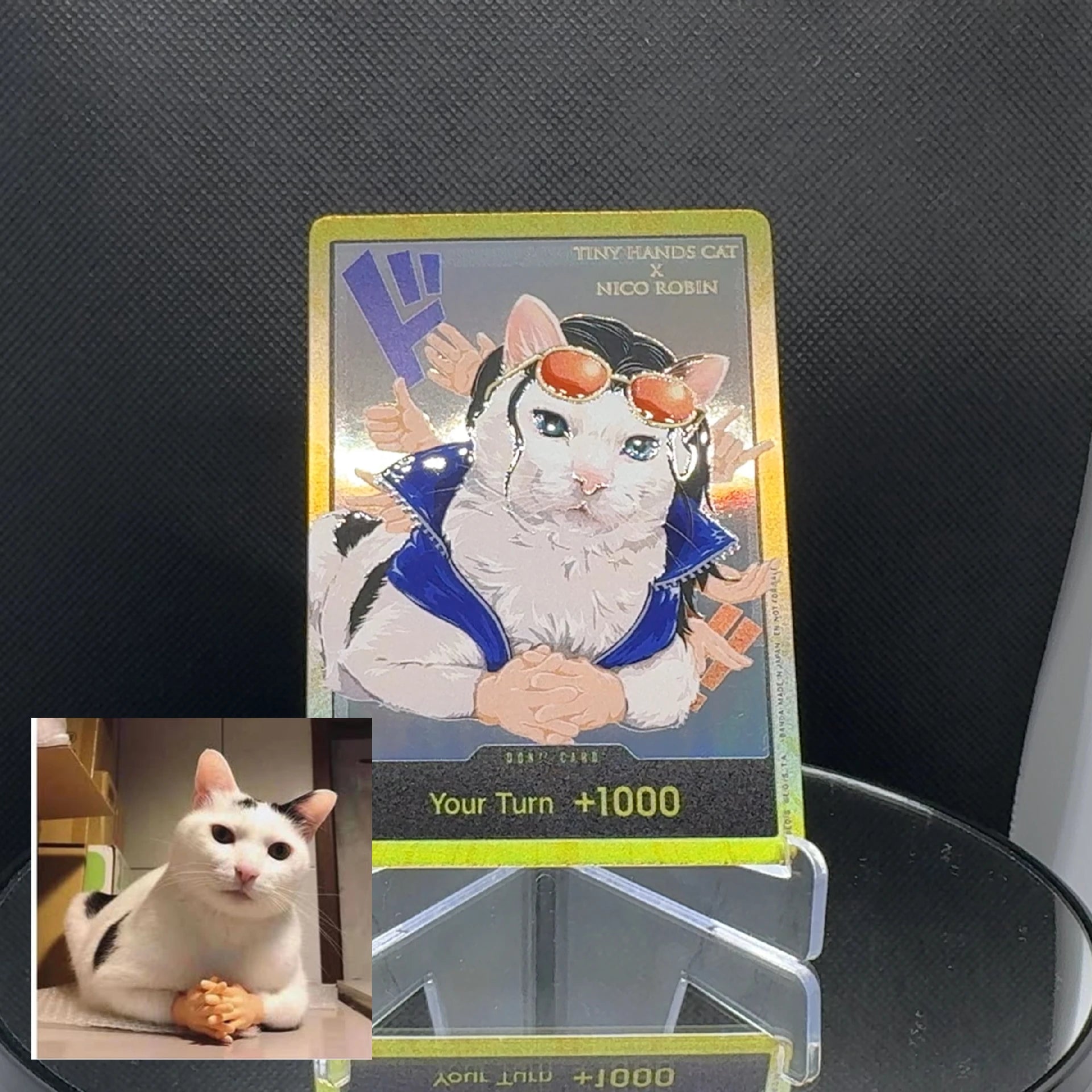 DON!! cat meme (EN)
