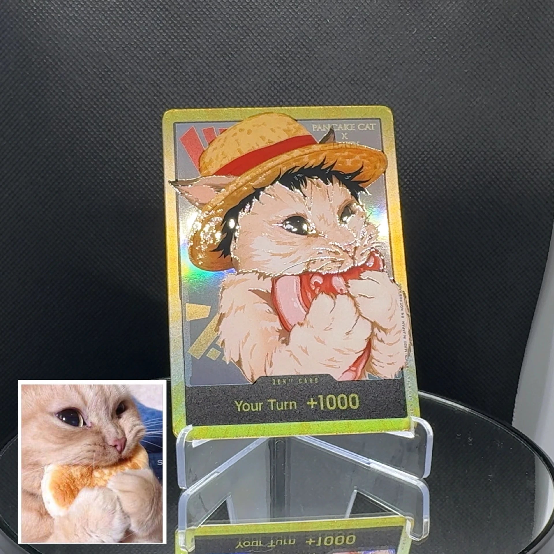 DON!! cat meme (EN)