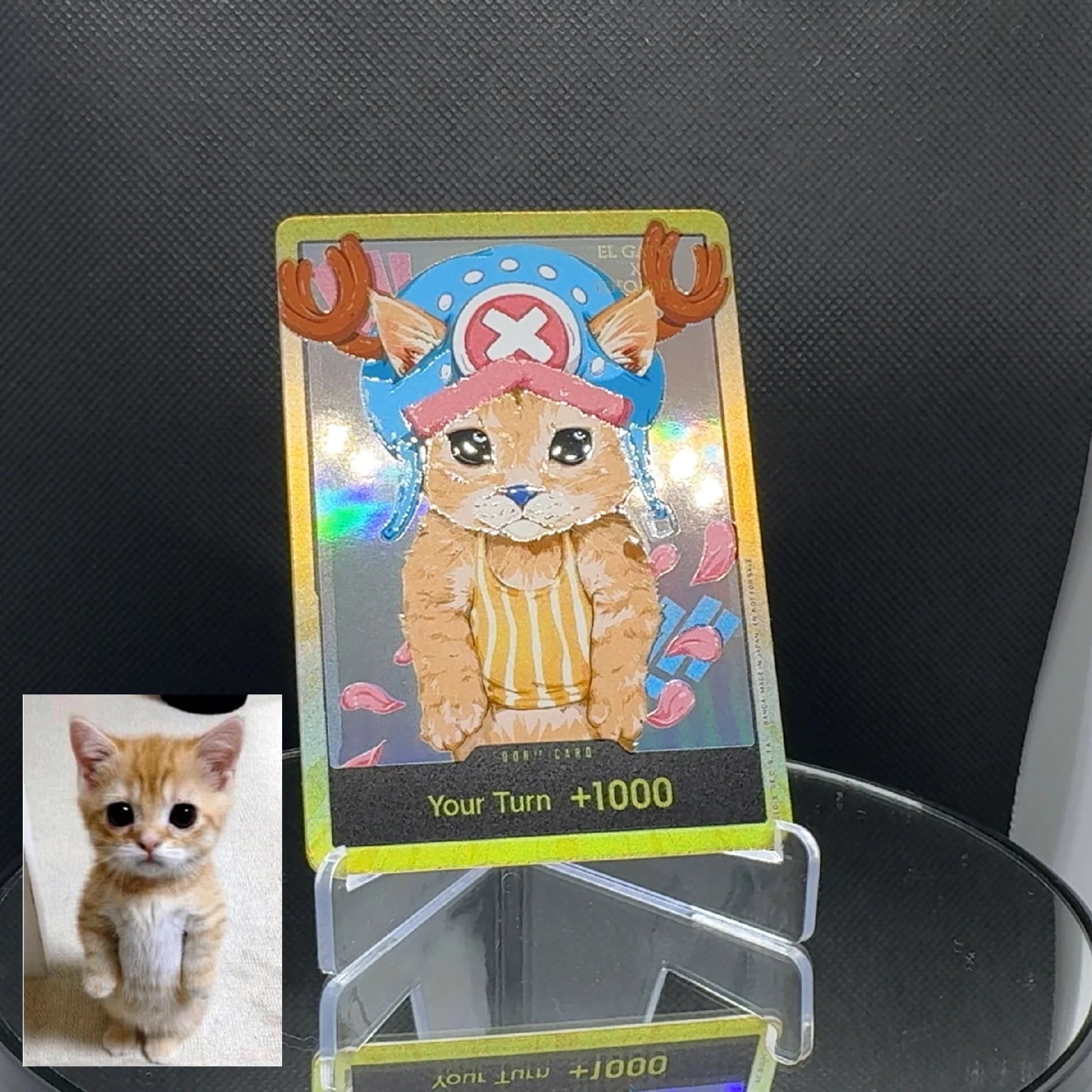 DON!! cat meme (EN)