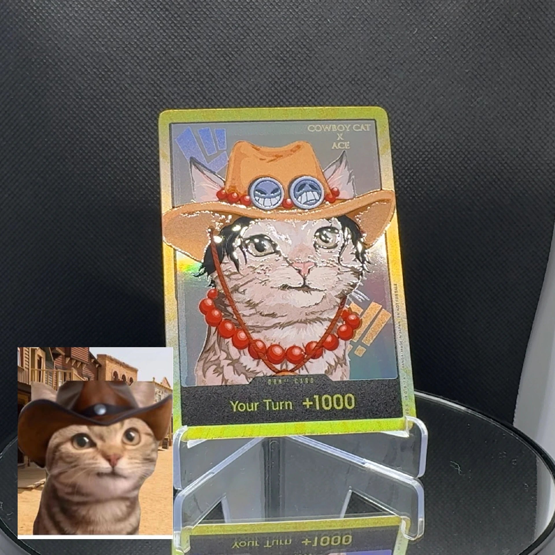 DON!! cat meme (EN)
